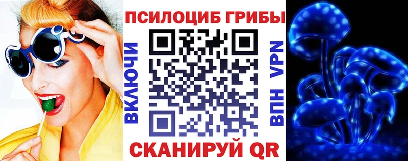 продажа наркотиков  Сысерть  Галлюциногенные грибы ЛСД 